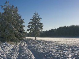 IMGP9382-Vinterstemning